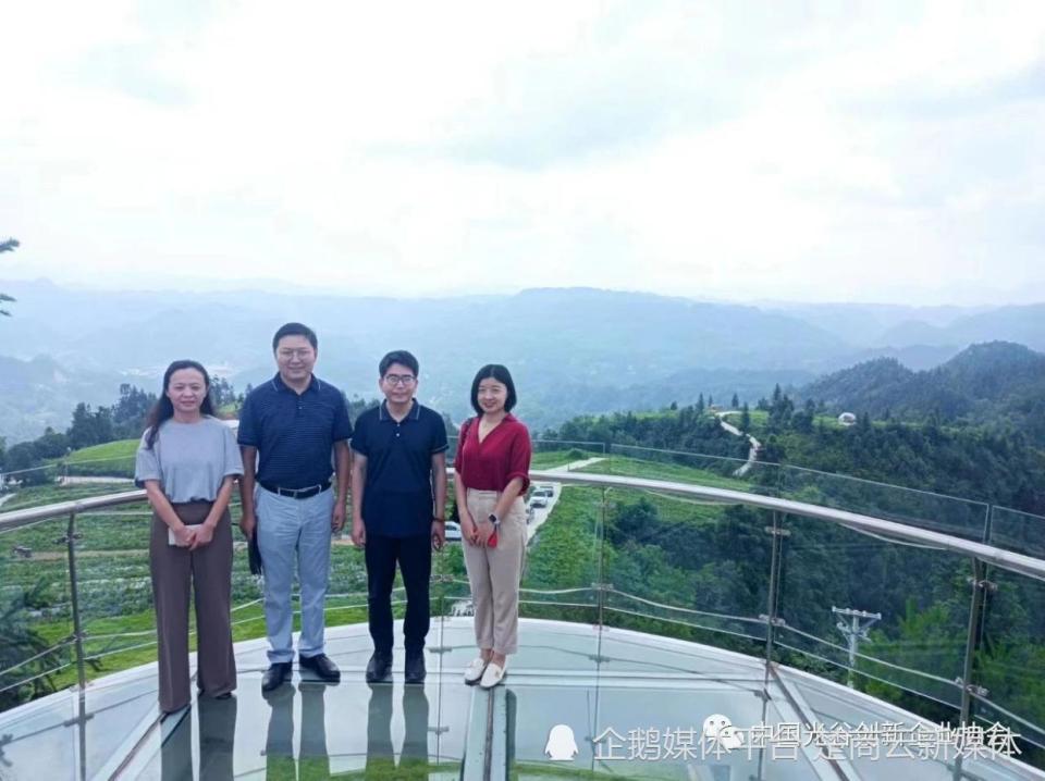 中国光谷创新企业协会携光谷知识产权研究院考察来凤藤茶产业(图9)