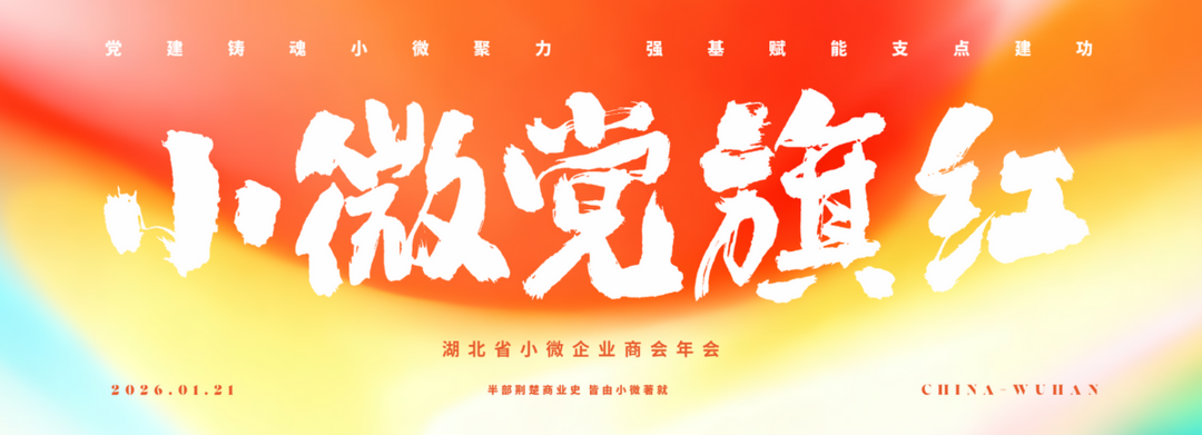 小微党旗红 支点建新功--湖北省小微企业商会年会隆重举行