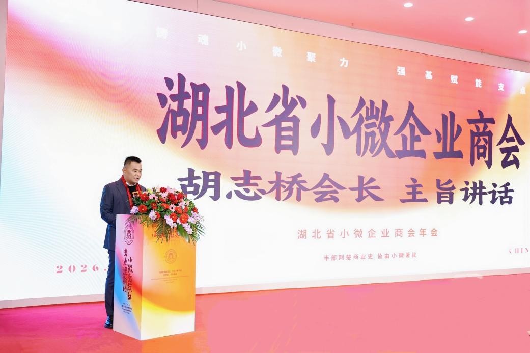 小微党旗红 支点建新功--湖北省小微企业商会年会隆重举行(图4)